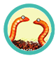 Live Worm Farming Kits